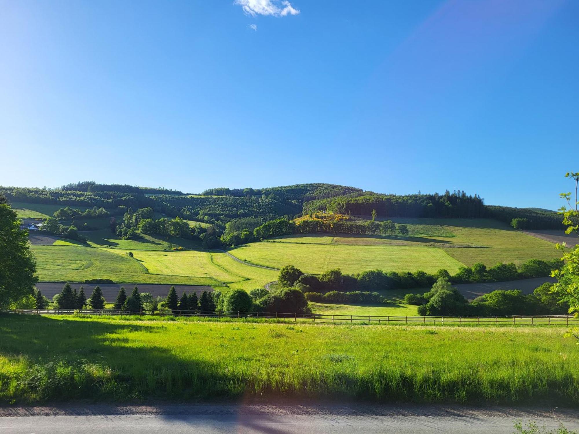 레네슈타트 Lausebuche Im Sauerland 아파트 외부 사진